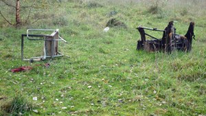 p1010163 The land is not being looked after