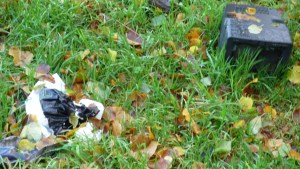 Help to clear the land of rubbish...